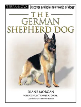 German Shepherd Dog