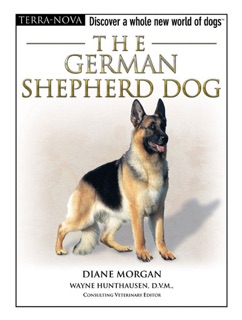 German Shepherd Dog by Diane Morgan