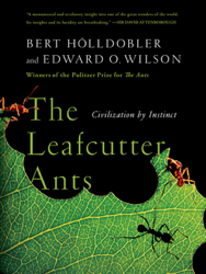 The Leafcutter Ants