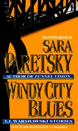 Read: Windy City Book Blues