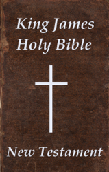 King James Holy Bible