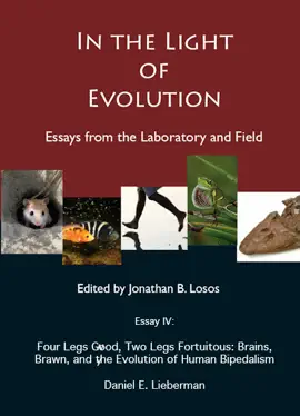 In the Light of Evolution