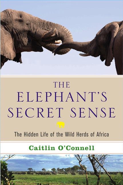 The Elephant's Secret Sense cover