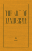 The Art of Taxidermy - F. Tose