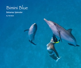 Bimini Blue - Tim Rock