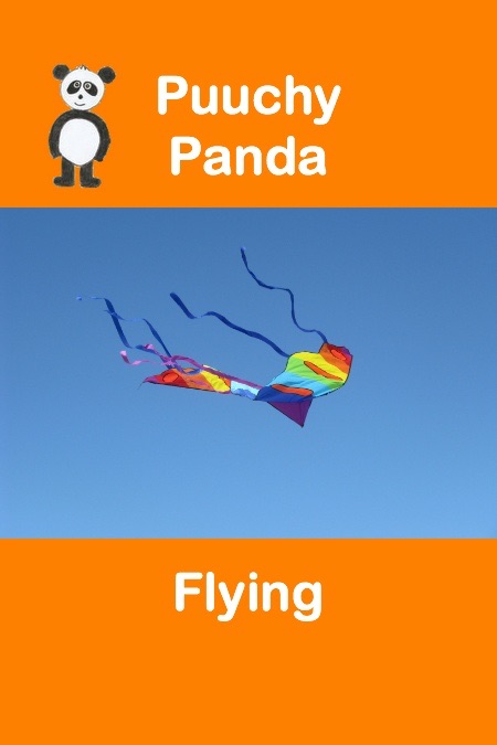 Puuchy Panda Flying