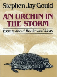 An Urchin in the Storm: Essays about Books and Ideas