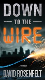 Down to the Wire - David Rosenfelt