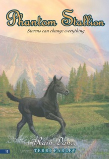 Phantom Stallion #12: Rain Dance by Terri Farley