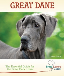 Great Dane by Janice Biniok