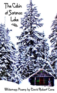 The Cabin at Saranac Lake by David Cone