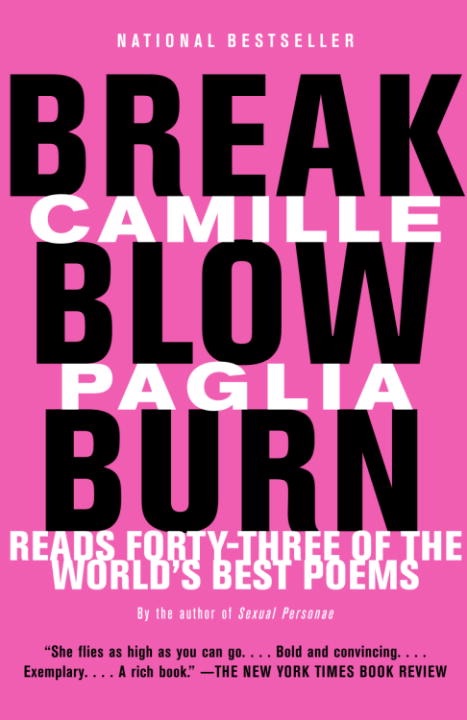 Break, Blow, Burn cover
