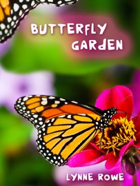 Butterfly Garden - Lynne Rowe