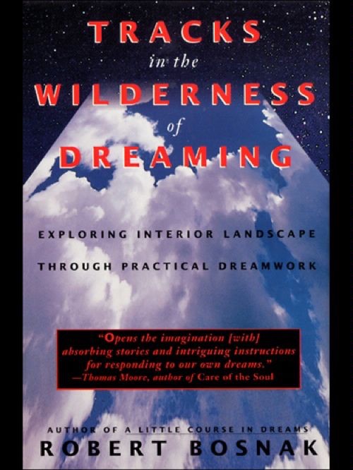 Tracks in the Wilderness of Dreaming cover