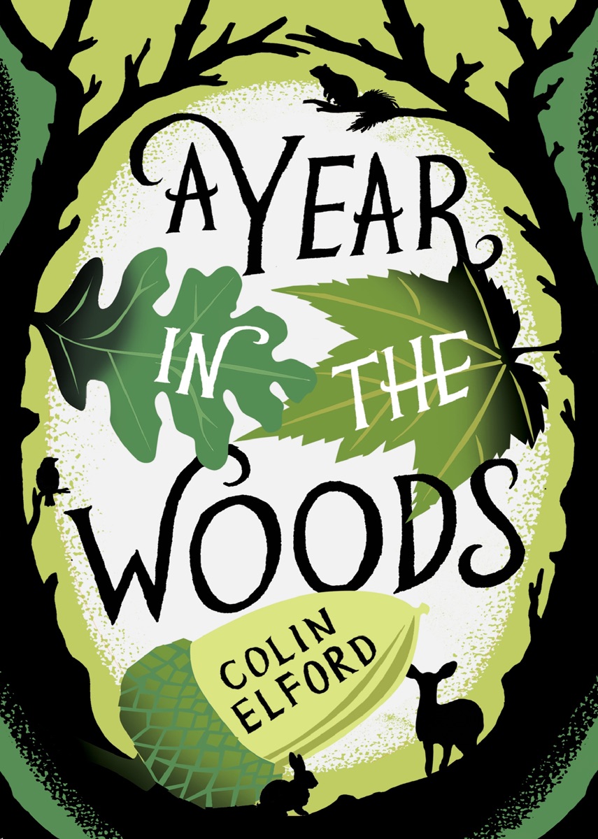 A Year in the Woods cover