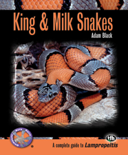 King &amp; Milk Snakes - Adam Black Cover Art