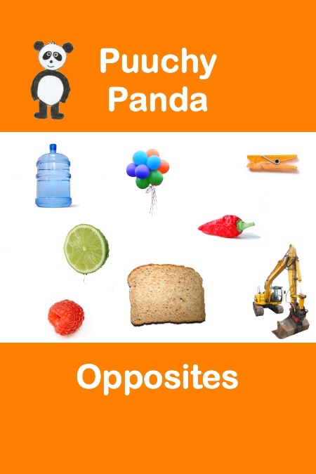 Puuchy Panda Opposites