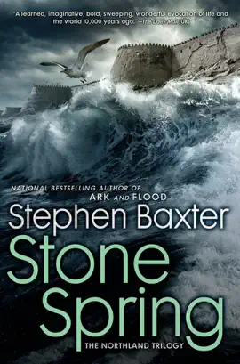 Read: Book Stone Spring