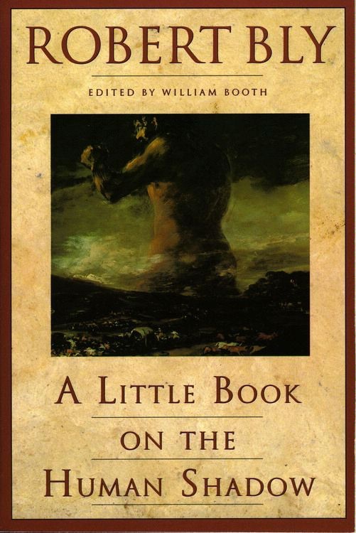 A Little Book on the Human Shadow cover