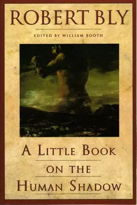 A Little Book on the Human Shadow