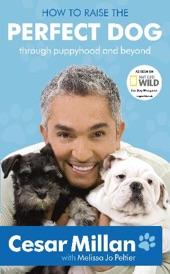 Book cover for How to Raise the Perfect Dog by Cesar Millan