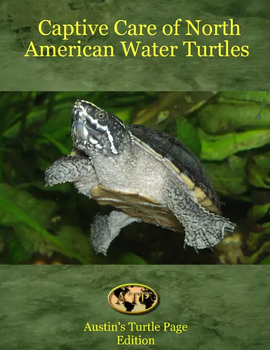 Captive Care of North American Water Turtles