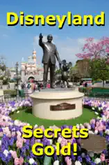 "Disneyland Secrets Gold"