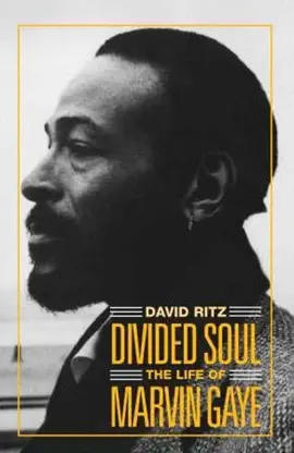 Divided Soul: The Life of Marvin Gaye
