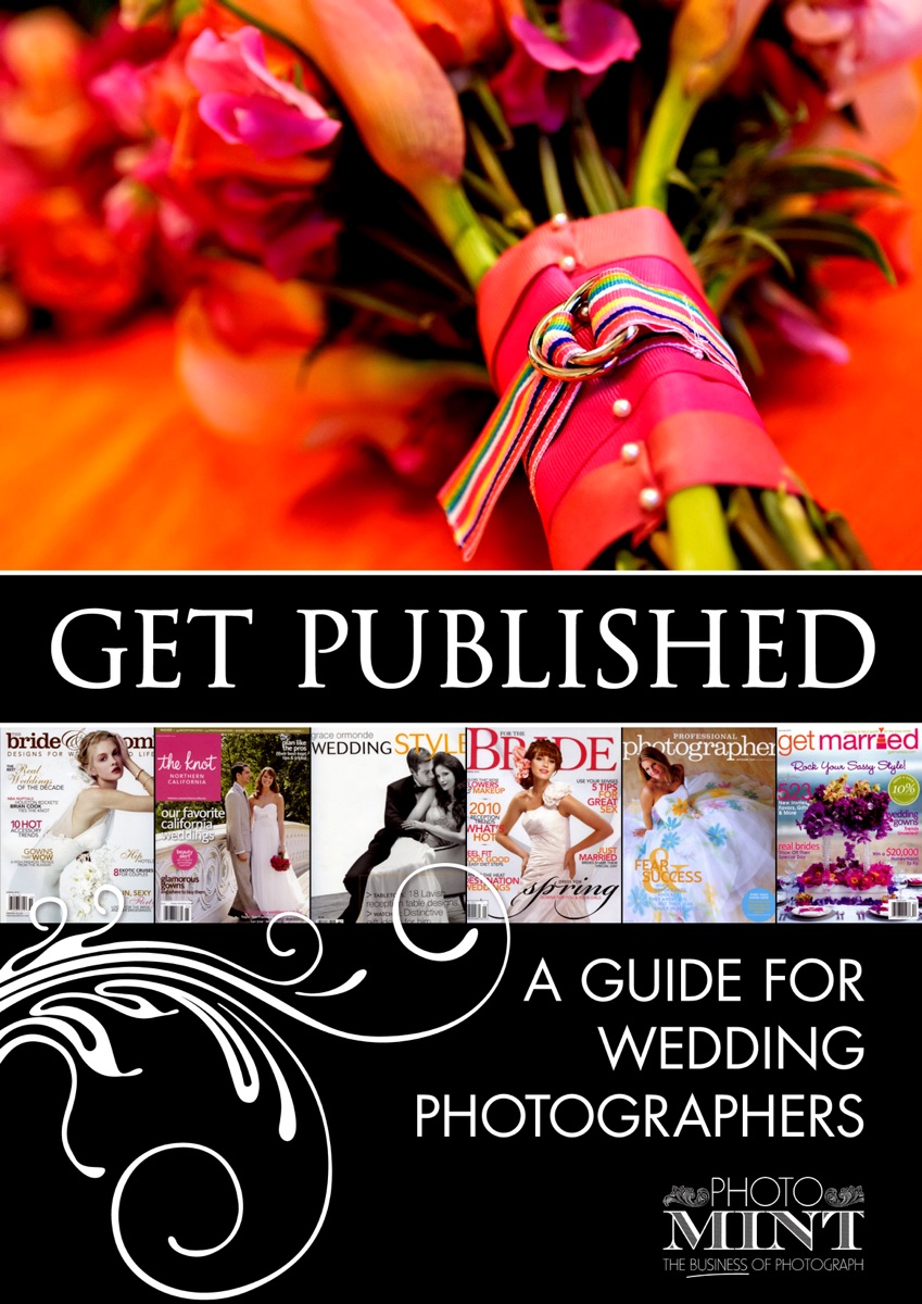 Beginners Guide to Getting Published cover