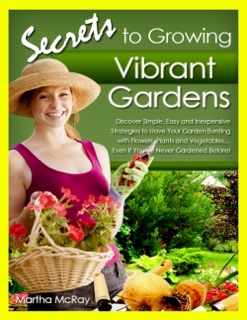 Secrets to Growing Vibrant Gardens by Martha McRay