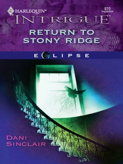 Return to Stony Ridge by Dani Sinclair
