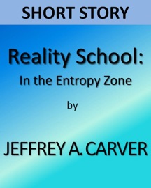 Reality School: In the Entropy Zone - Jeffrey A. Carver