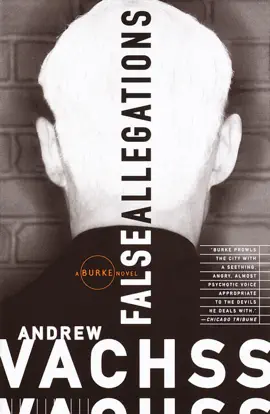 Read: False Allegations Book