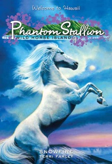 Phantom Stallion: Wild Horse Island #9: Snowfire by Terri Farley