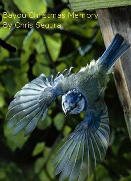 Bayou Christmas Memory