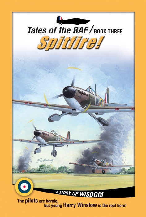 Spitfire with Toy (Tales of the RAF) cover