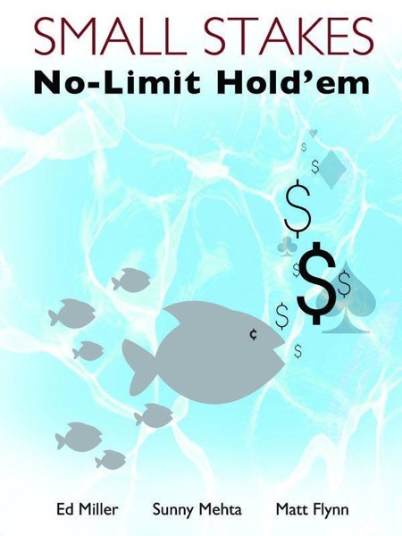 Small Stakes No-Limit Hold'em