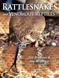 Rattlesnakes  And  Venomous Reptiles