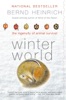 Book Winter World