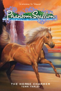 Phantom Stallion: Wild Horse Island #1: The Horse Charmer by Terri Farley