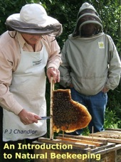 Book cover for An Introduction to Natural Beekeeping by Phil Chandler
