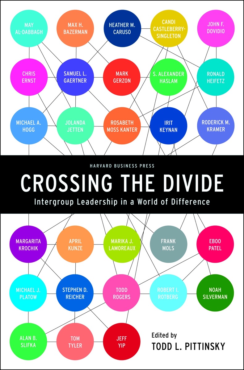 Crossing the divide cover