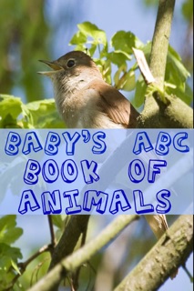 Baby’s ABC Book of Animals by BookCaps