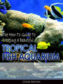 The How-To Guide to Creating a Beautiful Tropical Fish Aquarium