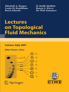 Lectures on Topological Fluid Mechanics by Mitchell A. Berger, Renzo L. Ricca, Louis H. Kauffman, Boris Khesin, H. Keith Moffatt & De Witt Sumners