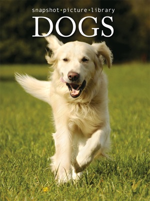 Dogs