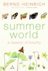 Book Summer World