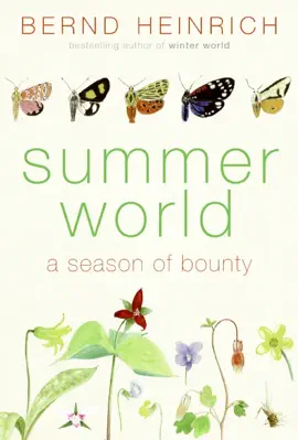 Read: Summer World Book