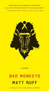 Bad Monkeys by Matt Ruff