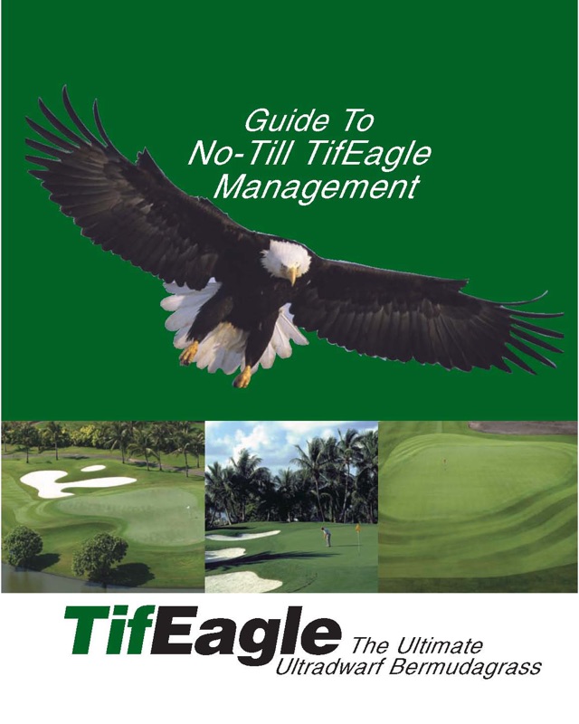 No-Till TifEagle